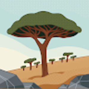 Meet your Posher, Marcia